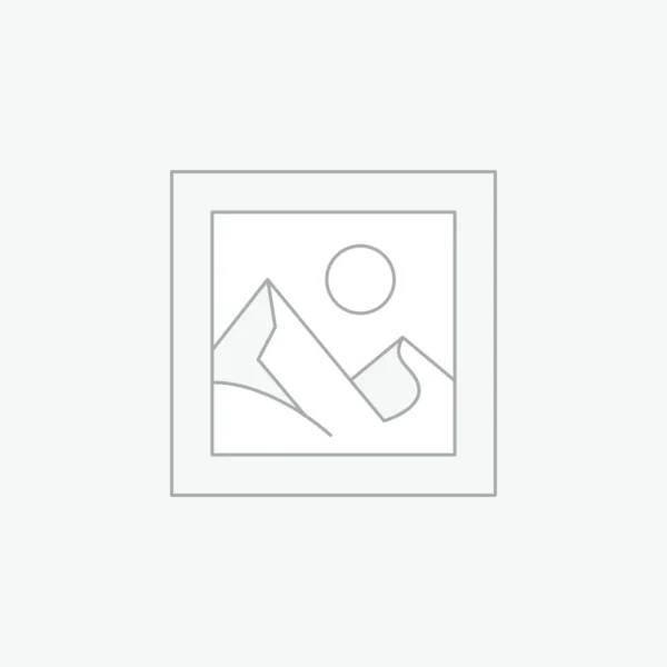 Shopify Store Setup